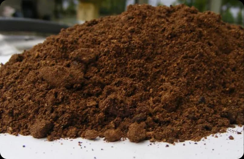 Palm Kernel Cake (PKC)