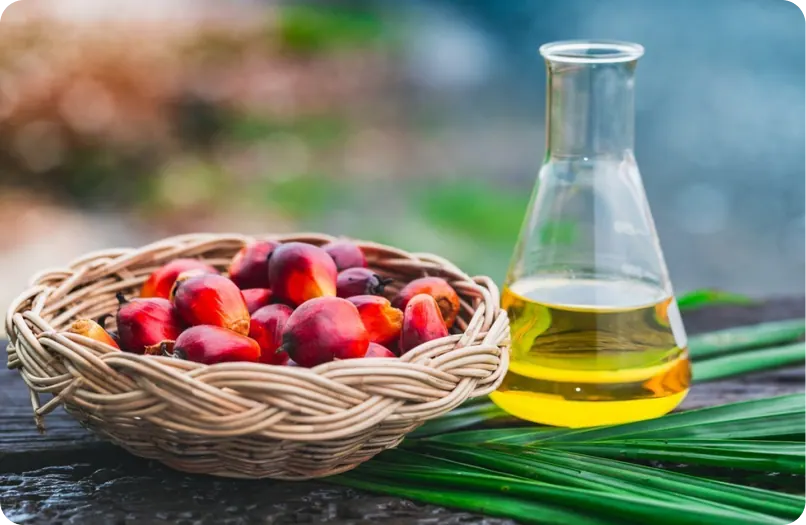 Palm Kernel Oil (PKO)