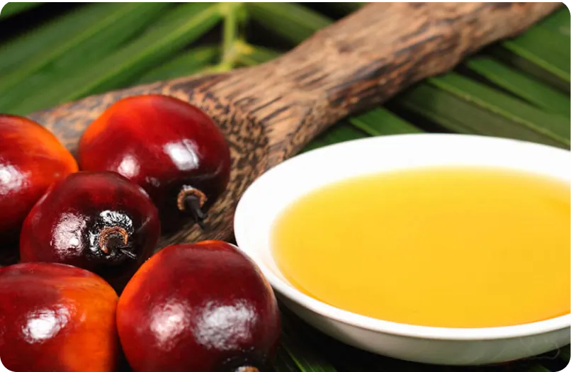 Refined Palm Oil (RPO)