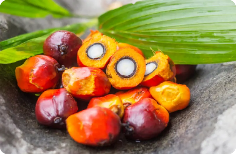 Specialty & Custom Oils