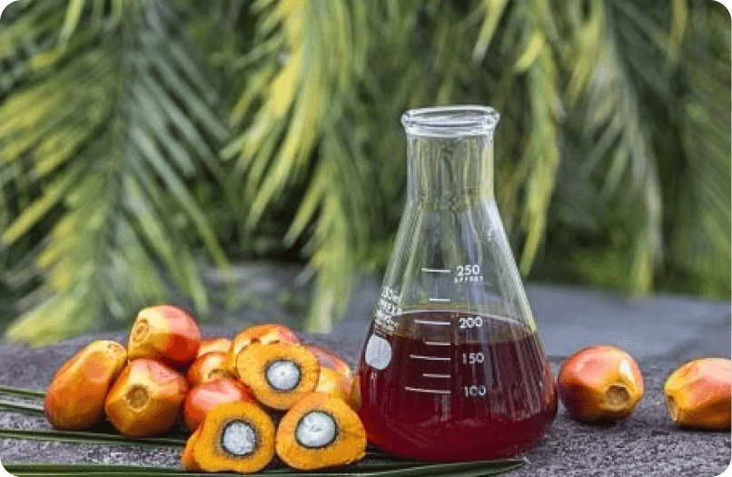 Crude Palm Oil (CPO)