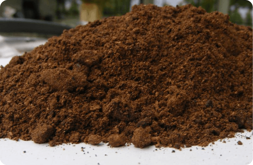 Palm Kernel Cake (PKC)