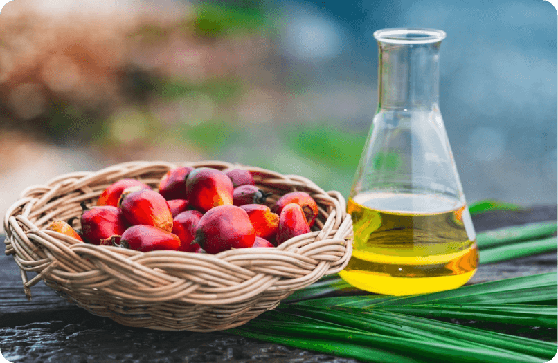 Palm Kernel Oil (PKO)