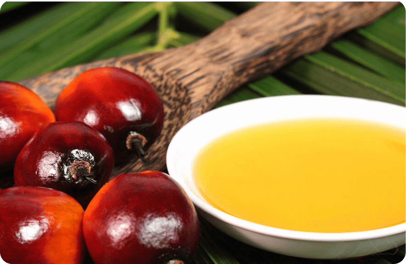 Refined Palm Oil (RPO)