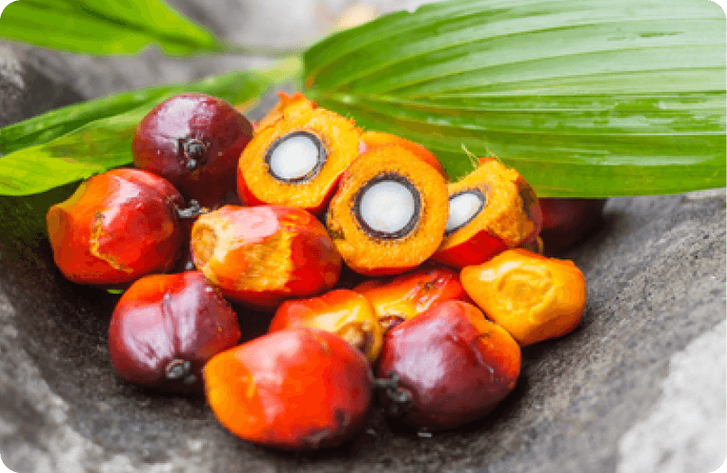 Specialty & Custom Oils